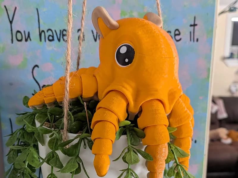 Flapjack Octopus