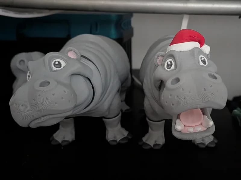 Hippopotamus