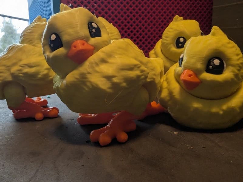 Chick and Egg